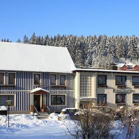 Haus Gruene Insel - Ferienwohnungen Altenau  Ngoại thất bức ảnh