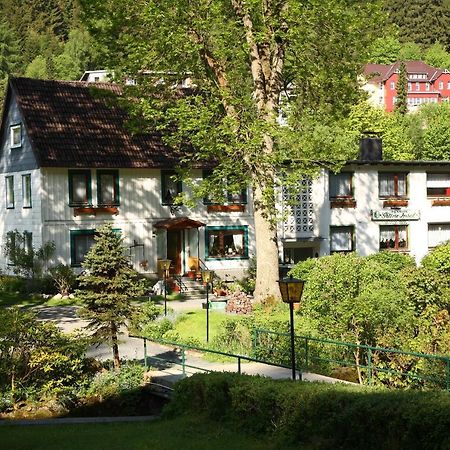 Haus Gruene Insel - Ferienwohnungen Altenau  Ngoại thất bức ảnh