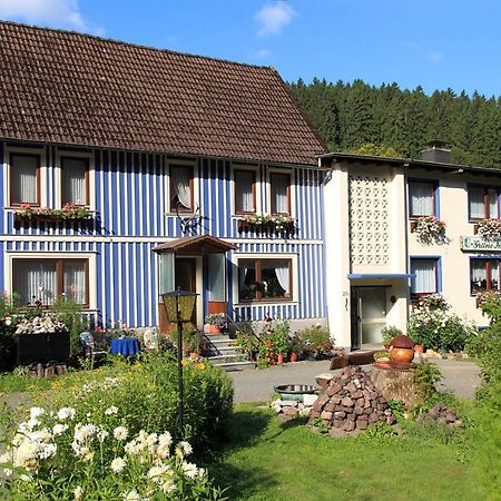 Haus Gruene Insel - Ferienwohnungen Altenau  Ngoại thất bức ảnh