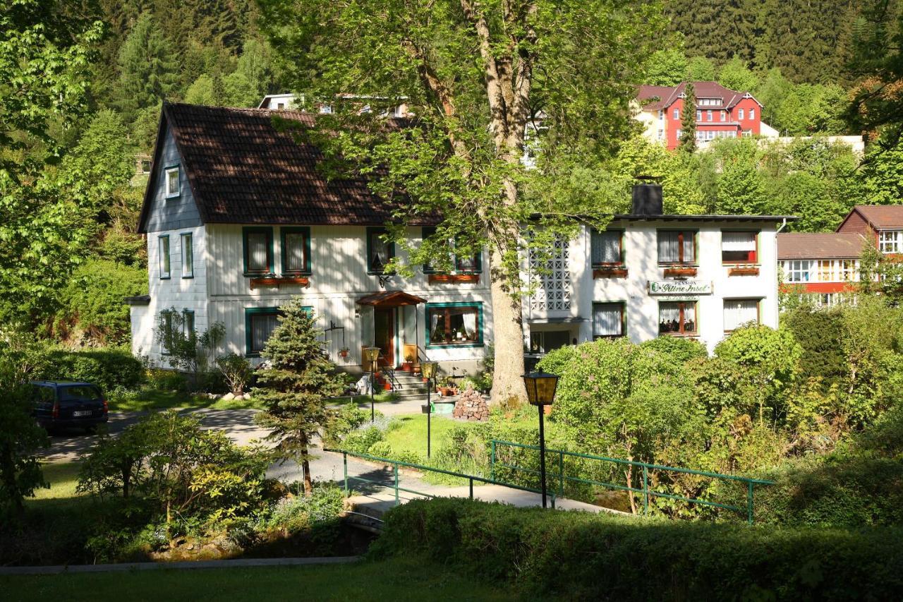 Haus Gruene Insel - Ferienwohnungen Altenau  Ngoại thất bức ảnh