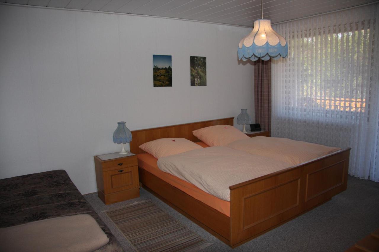 Haus Gruene Insel - Ferienwohnungen Altenau  Ngoại thất bức ảnh