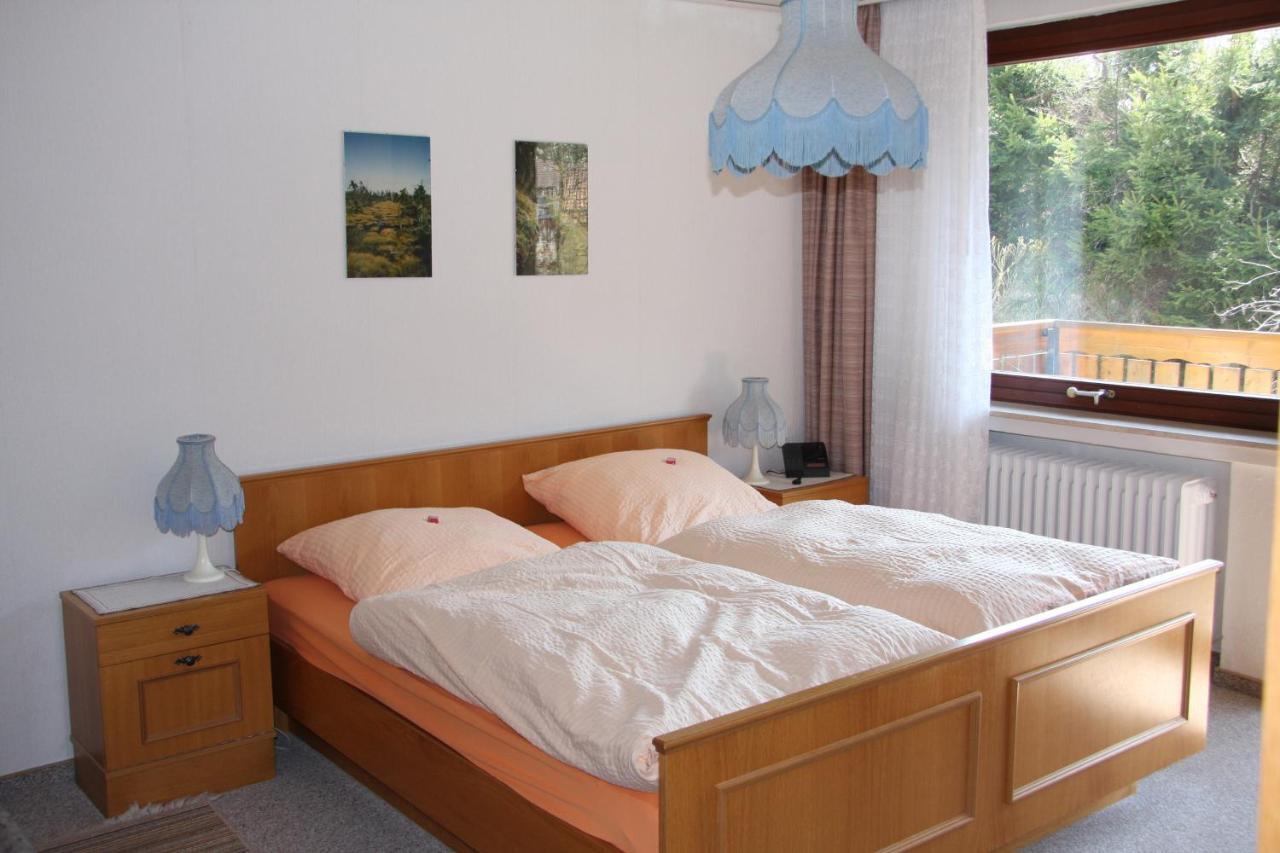 Haus Gruene Insel - Ferienwohnungen Altenau  Ngoại thất bức ảnh