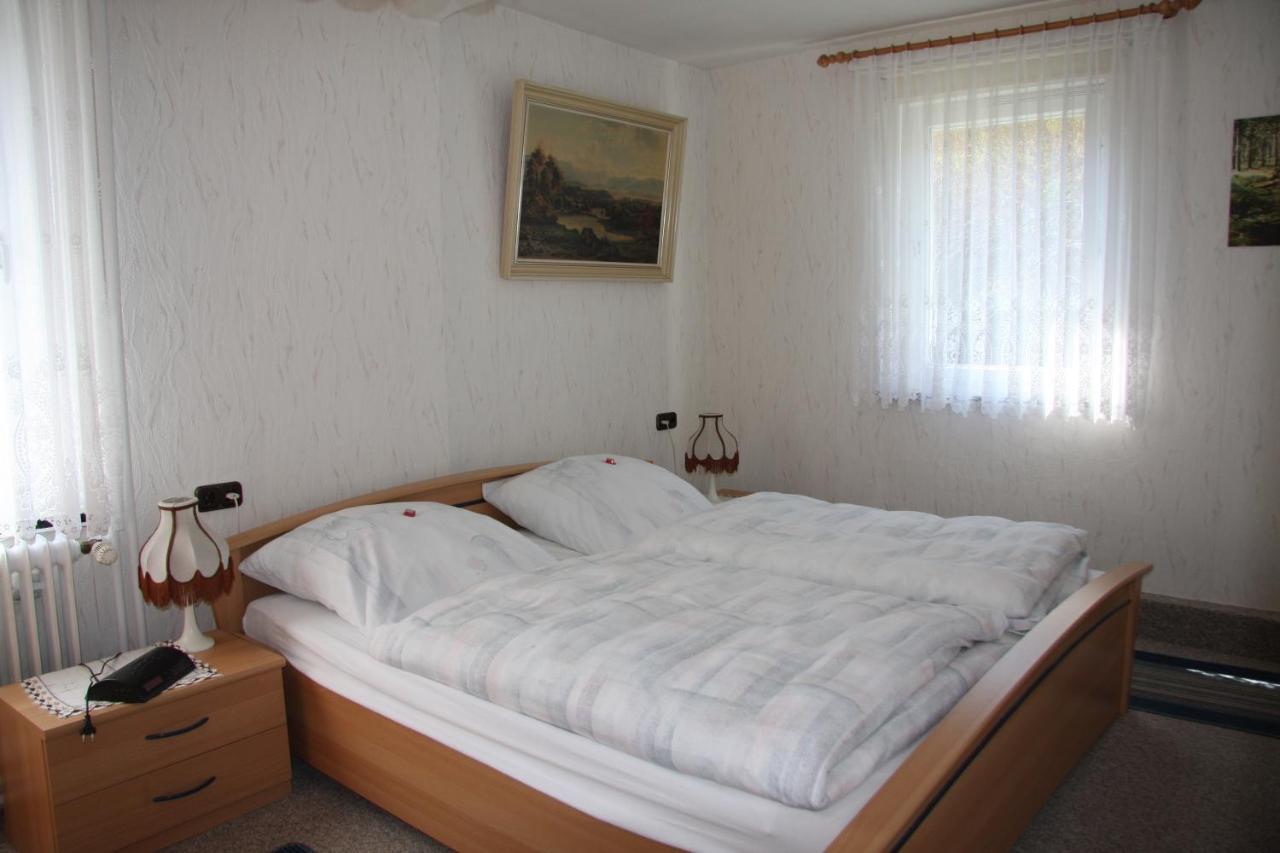 Haus Gruene Insel - Ferienwohnungen Altenau  Ngoại thất bức ảnh